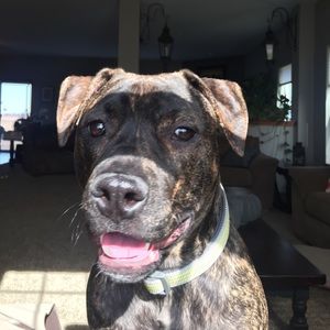 Meet your Posher, Emma